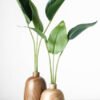 Wooden Vases